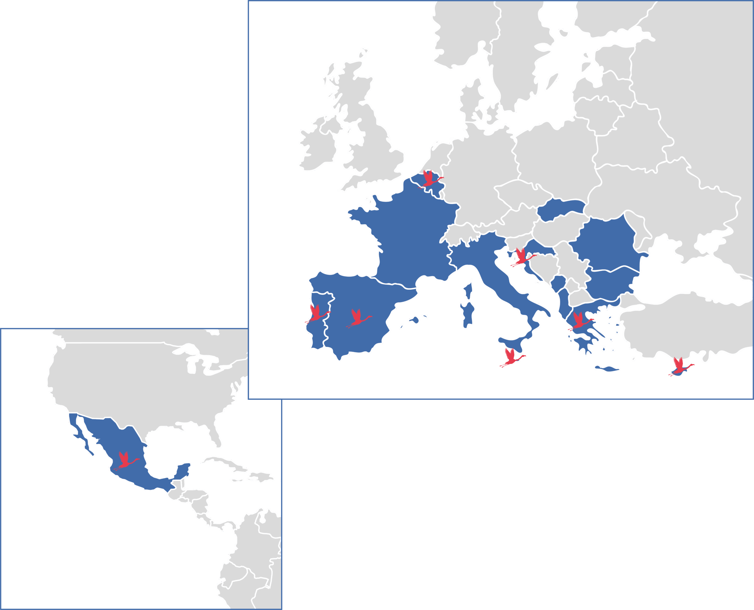 Member map international