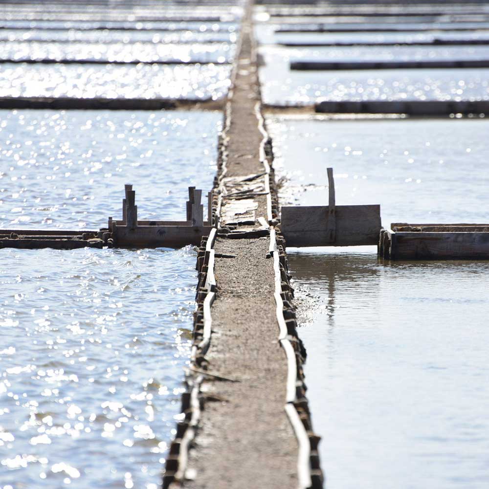 Salt ponds at Solana Pag