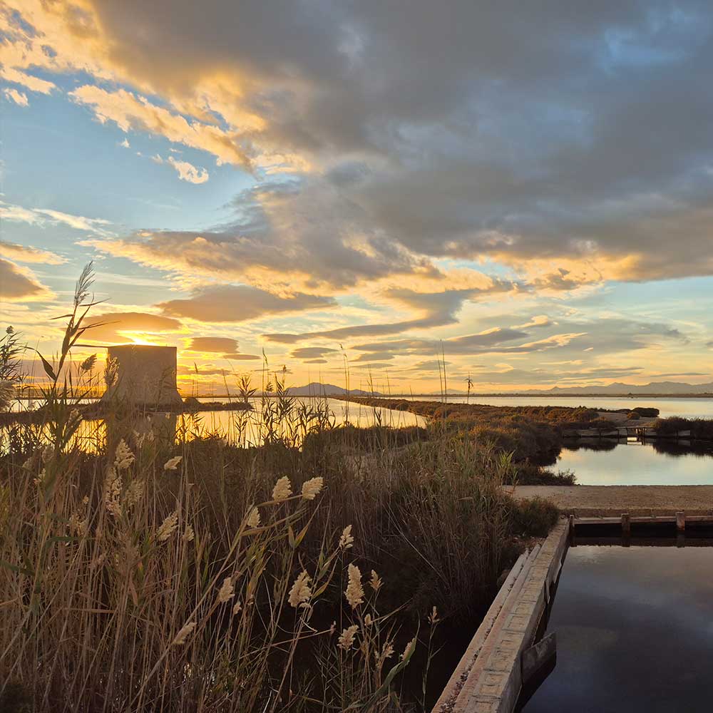 Sunset at Bras del Port