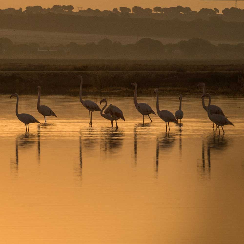 Sunset at Grupo Asal