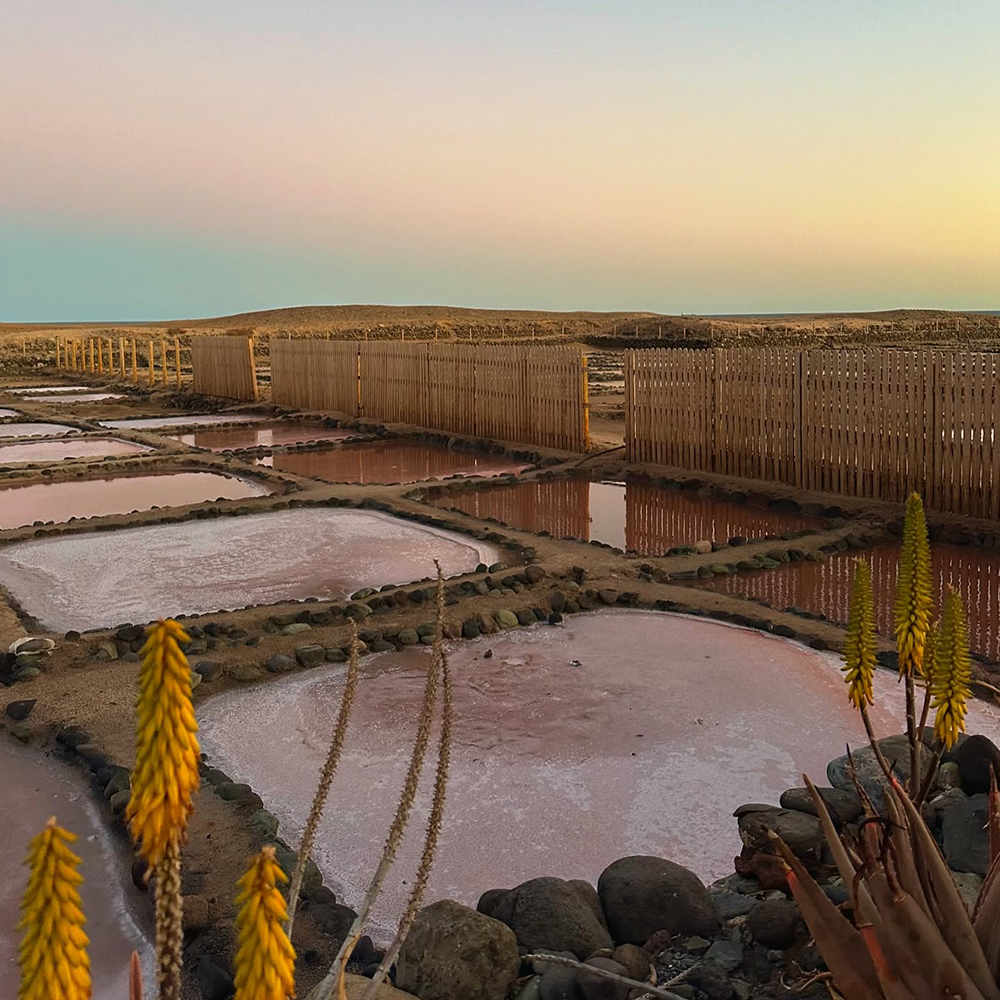 Salinas de Tenefé landscape