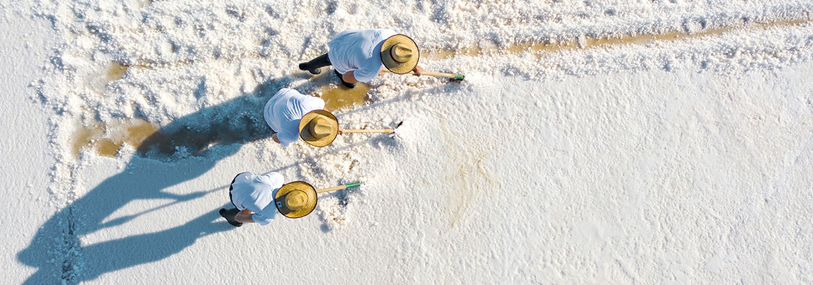 sea salt harvest
